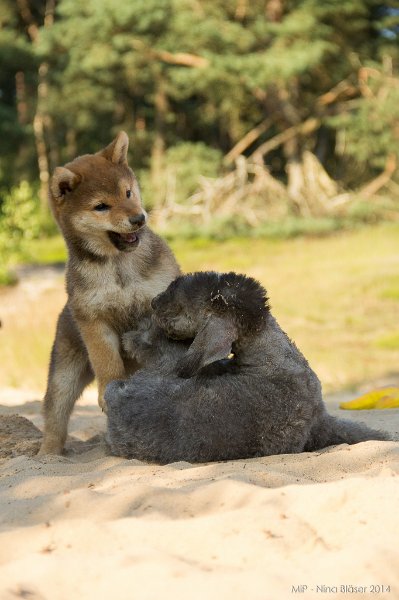 2014-07-17 Cherry & Friends-8318.jpg